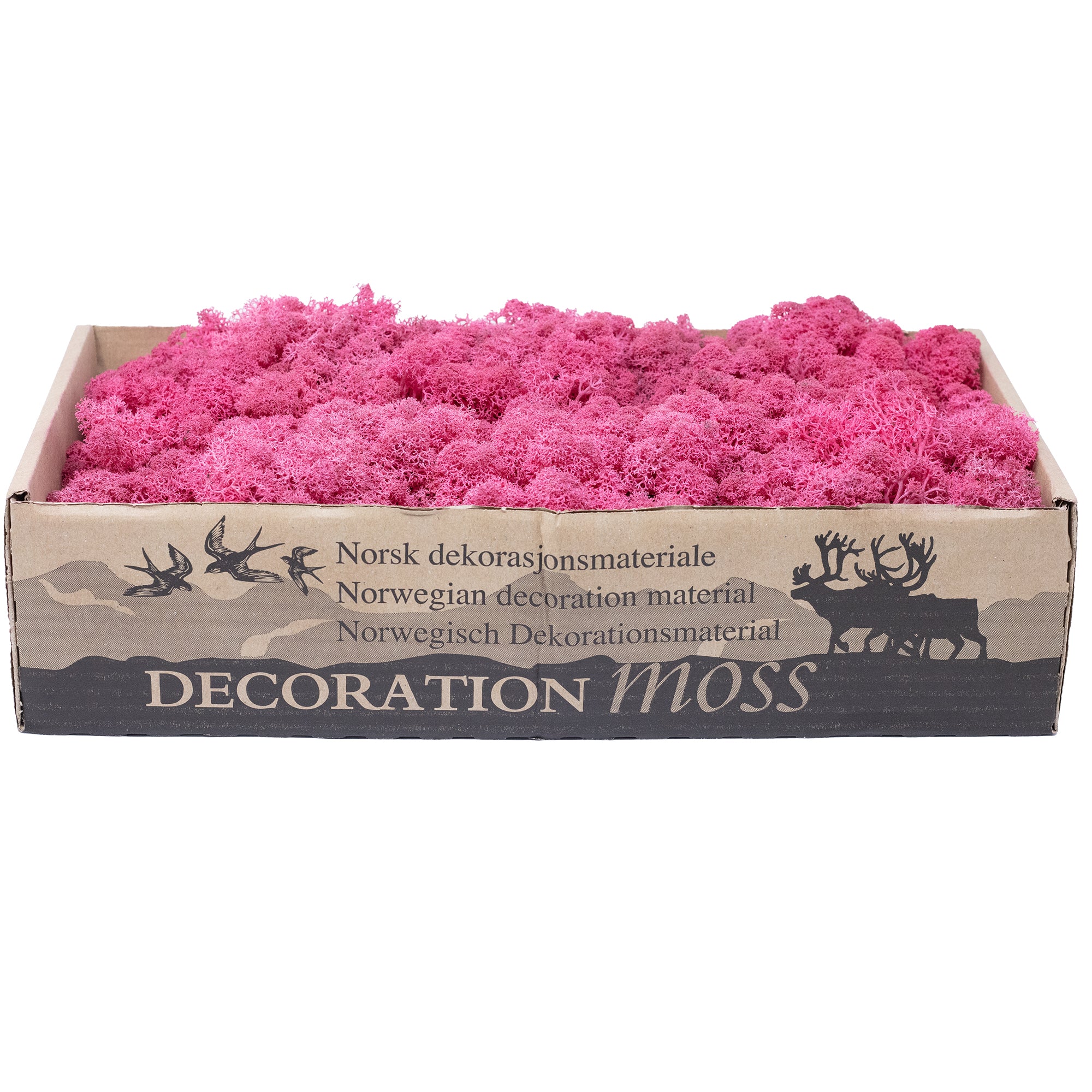 Karton Islandmoos Fuchsia 500g