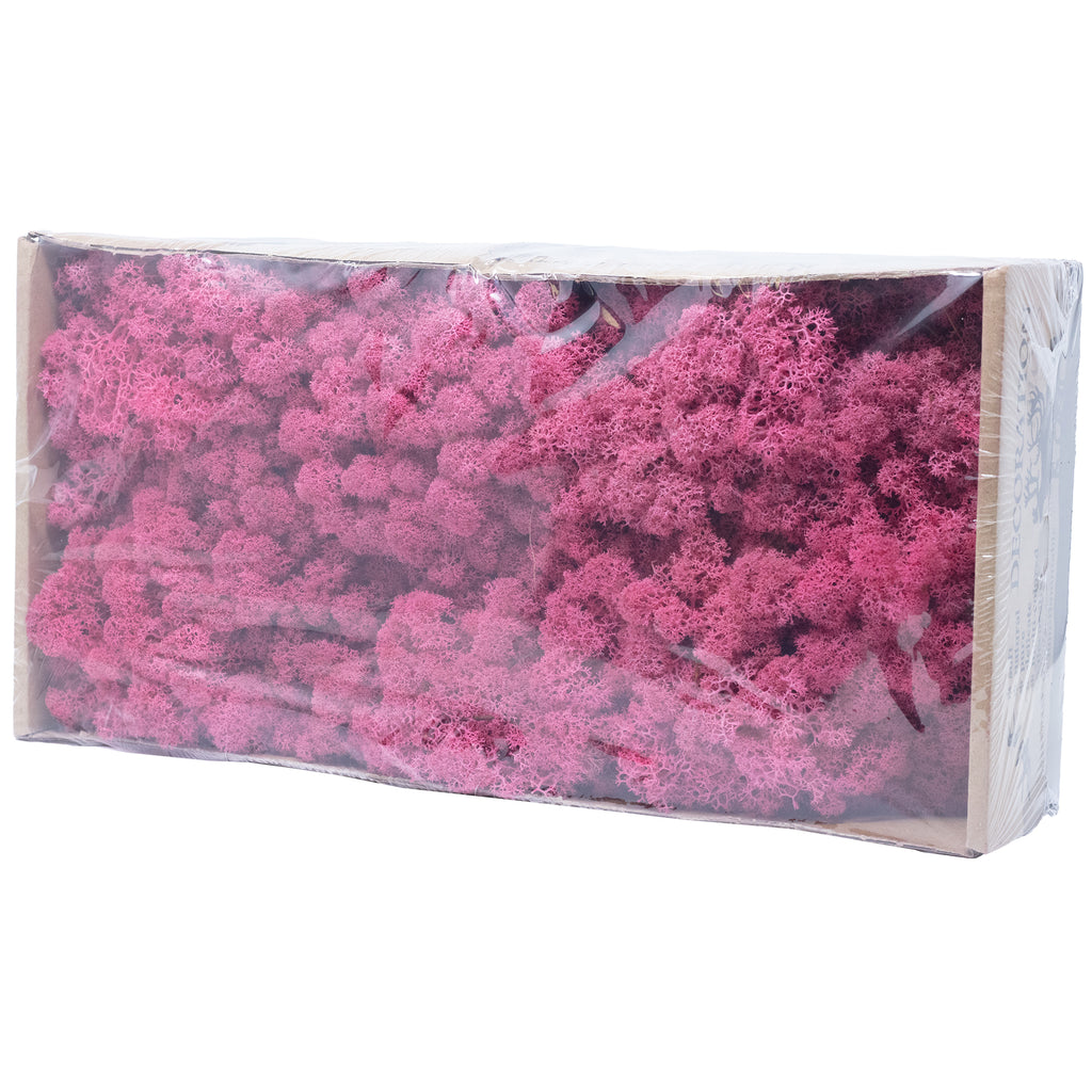 Karton Islandmoos Fuchsia 500g