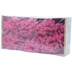 Karton Islandmoos Fuchsia 500g