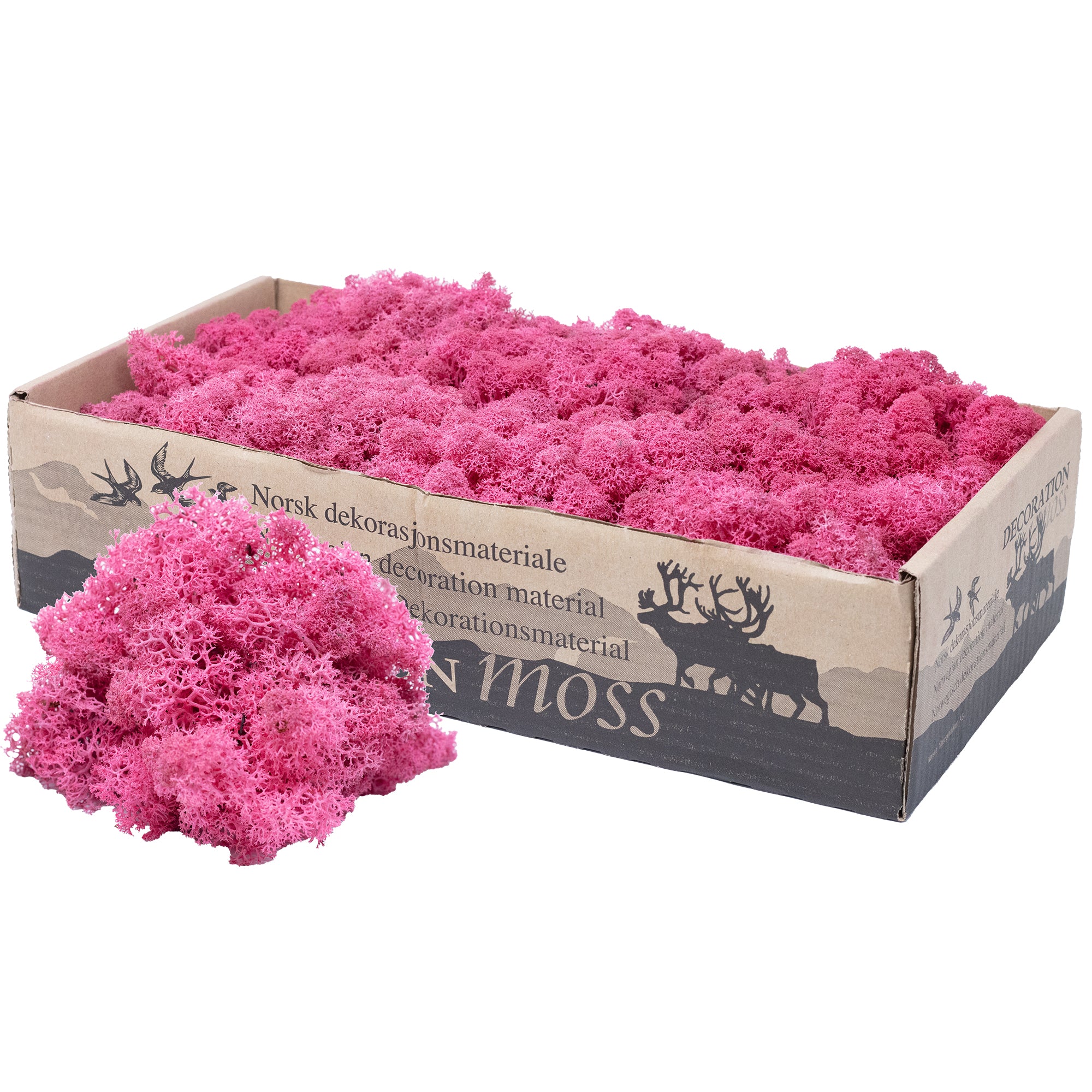 Karton Islandmoos Fuchsia 500g