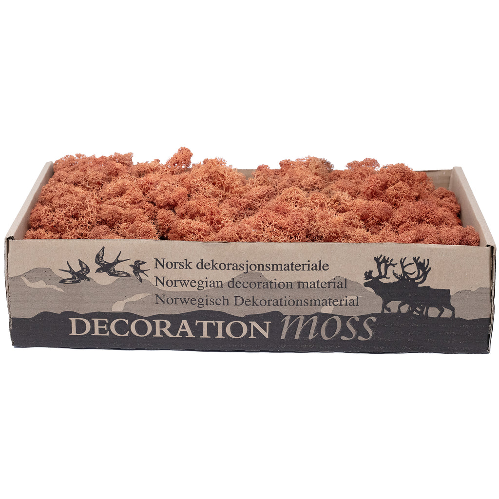 Box of reindeer moss mango-orange 500g