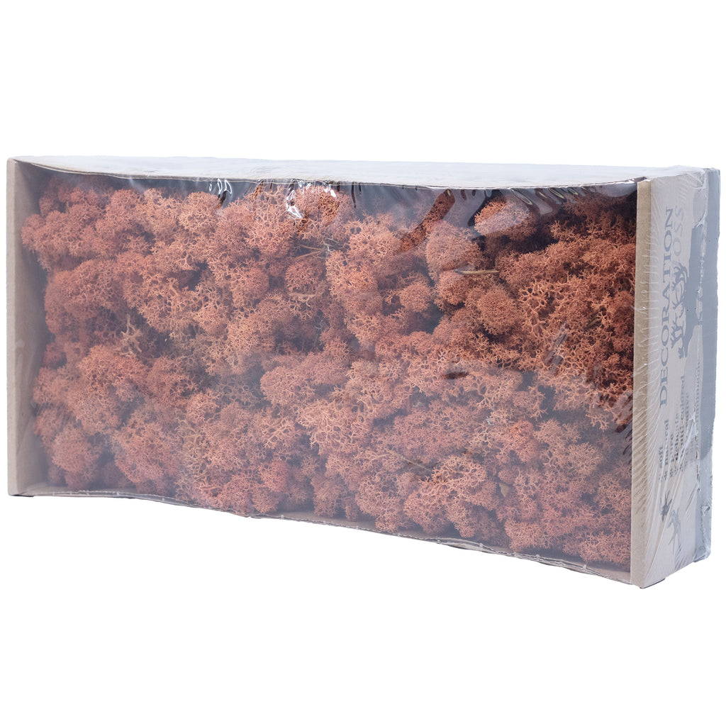 Box of reindeer moss mango-orange 500g