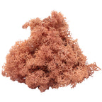 Box of reindeer moss mango-orange 500g
