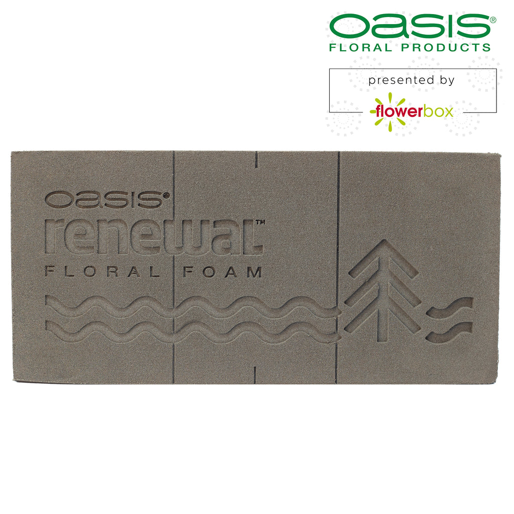 3x Original OASIS® Renewal™ Steckschaum aus pflanzlichen, biobasierten Rohstoffen - Steckmasse Blumen - Nasssteckschaum Hochzeit Geburtstag Kirche Ziegelform umweltfreundlich