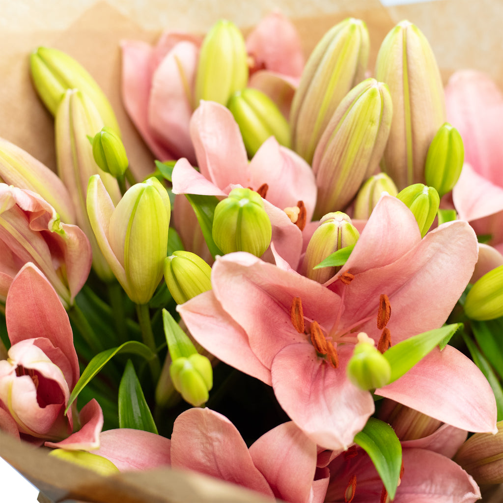 Blumenstrauß 'Lily Grace' - Länge ca. 40-50 cm - Strauß frischer Lilien