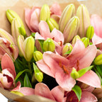 Blumenstrauß 'Lily Grace' - Länge ca. 40-50 cm - Strauß frischer Lilien