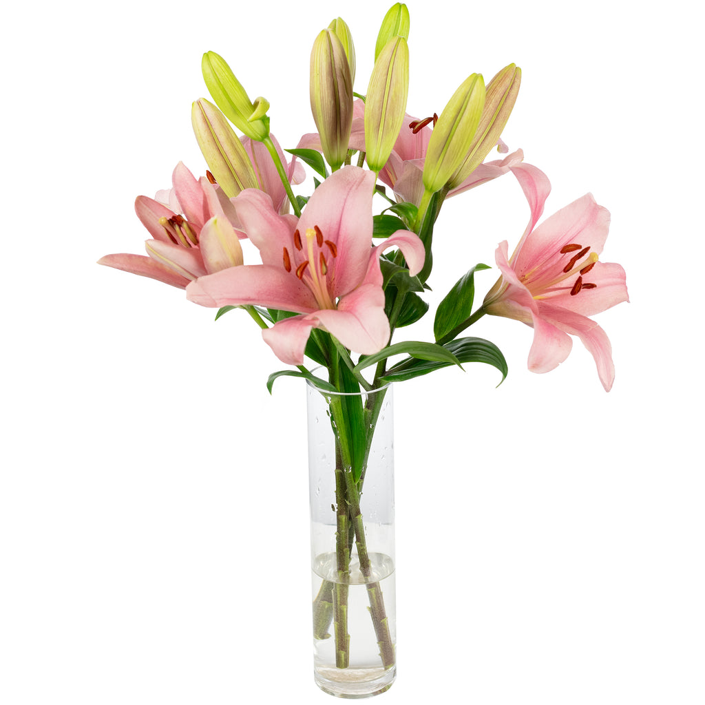 Blumenstrauß 'Lily Grace' - Länge ca. 40-50 cm - Strauß frischer Lilien