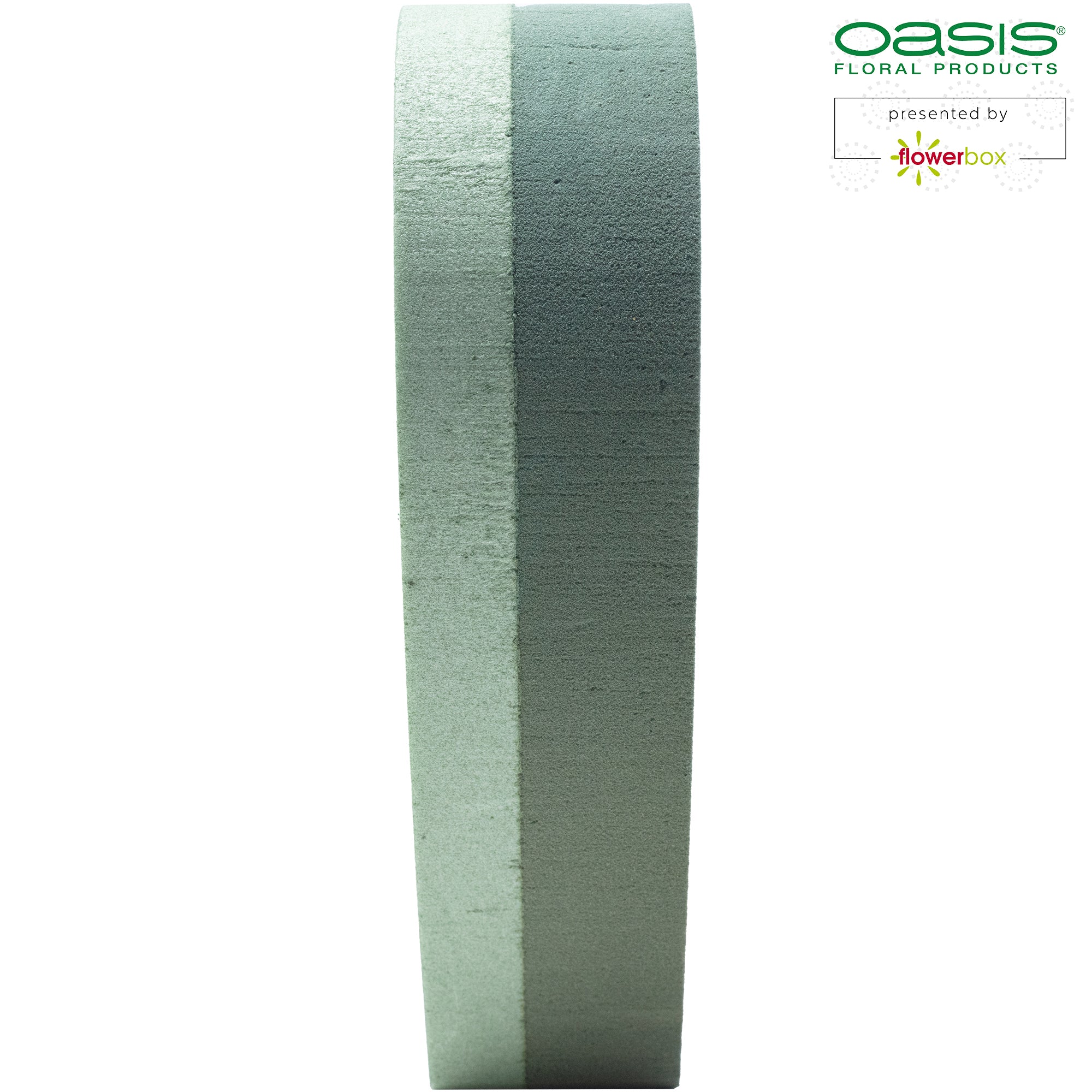 OASIS® FOAM FRAMES® Hearts - 24 x 25 x 6cm - 2 pcs.