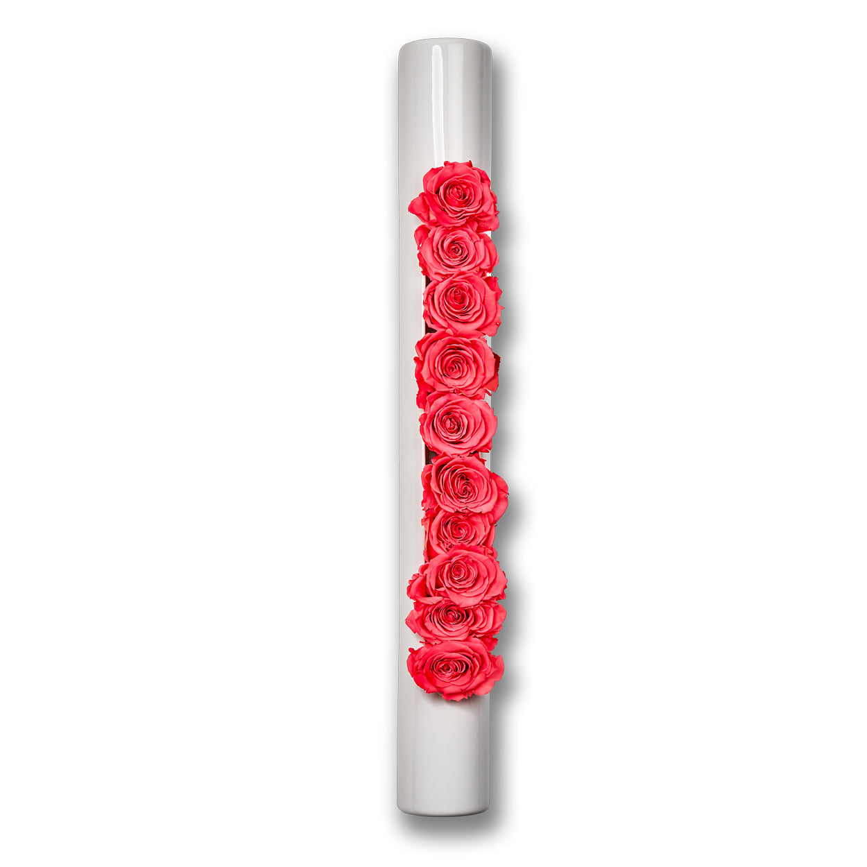 Infinity-Bloom bigTube - weiß/hellrot - 65x7,5 cm