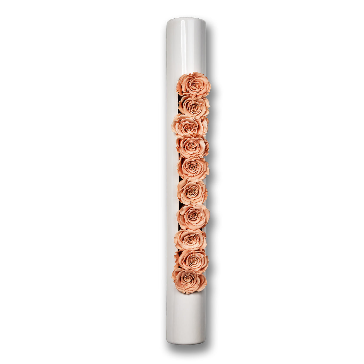 Infinity-Bloom bigTube - weiß/rosé - 65x7,5 cm