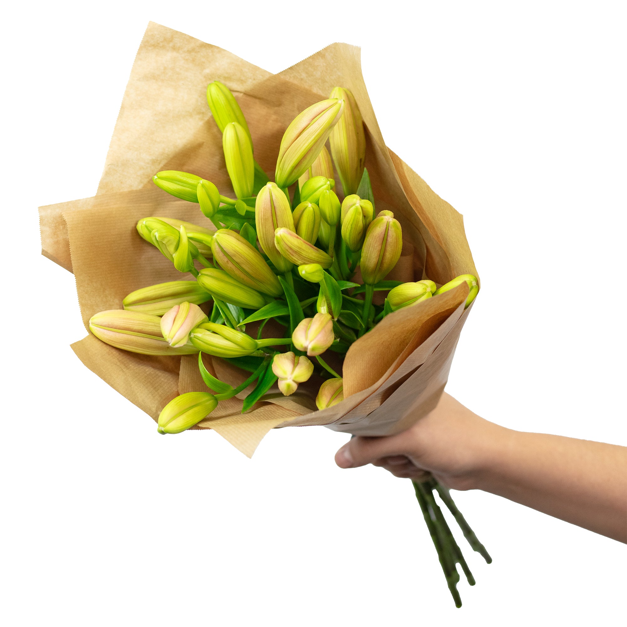 Blumenstrauß 'Lily Grace' - Länge ca. 40-50 cm - Strauß frischer Lilien