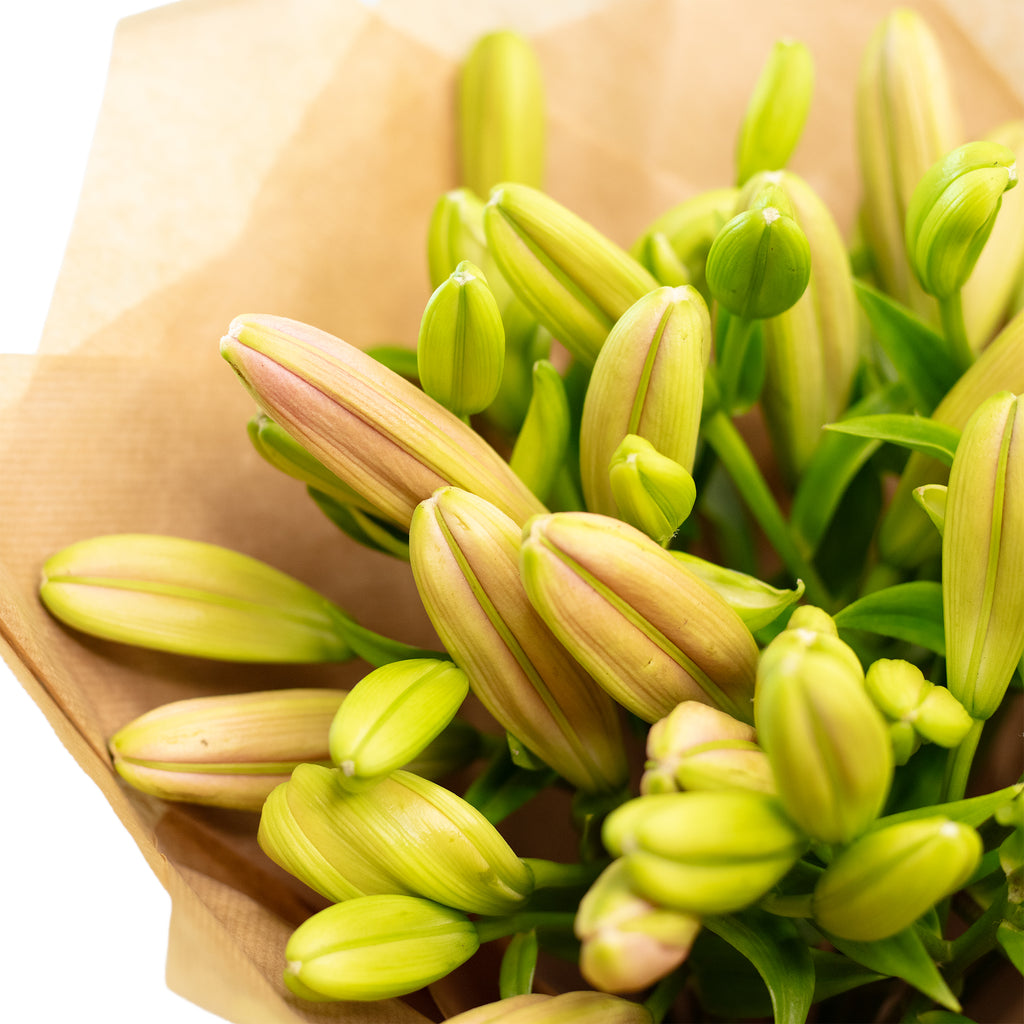 Blumenstrauß 'Lily Grace' - Länge ca. 40-50 cm - Strauß frischer Lilien