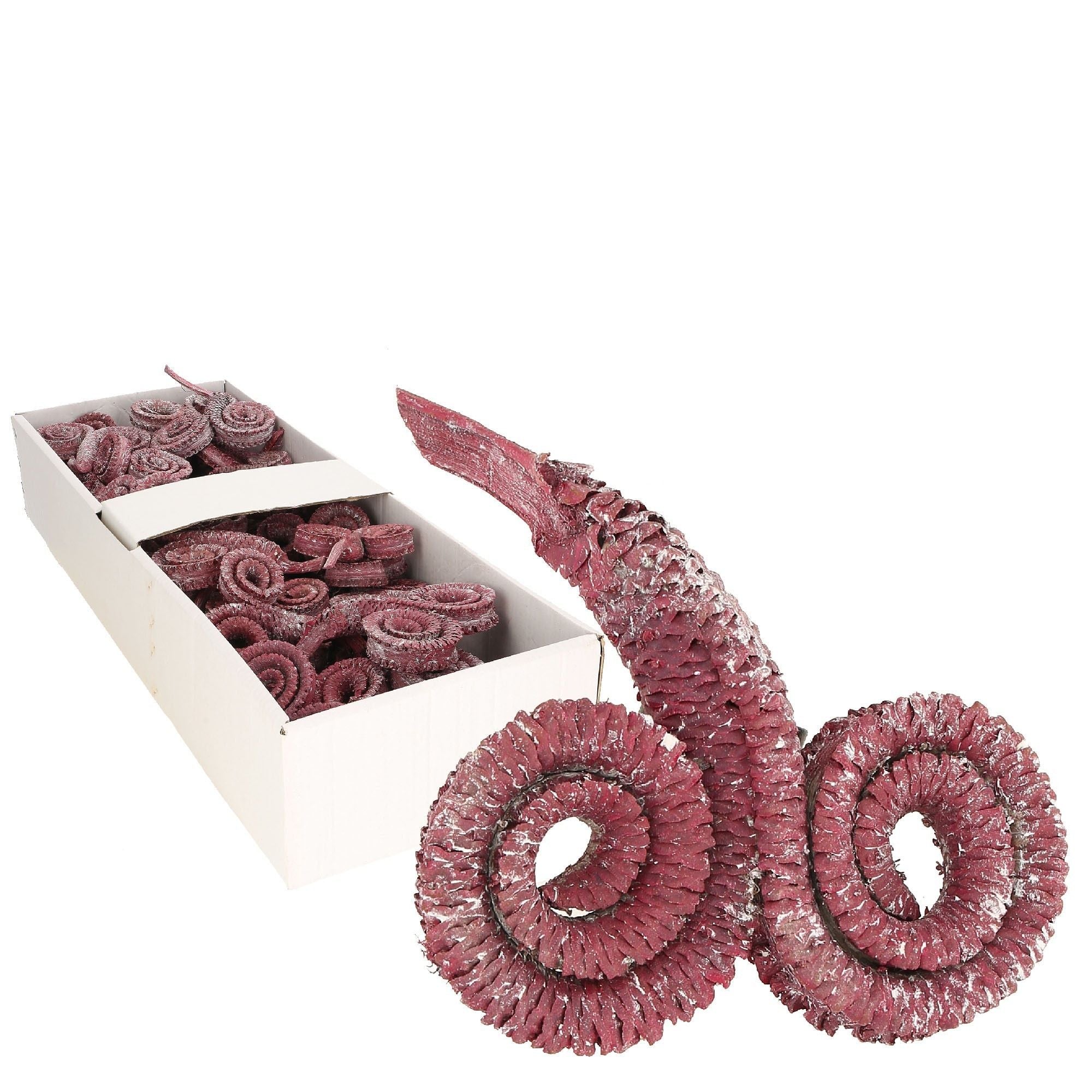 Palm male branches - 50 pcs - frost-erika